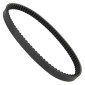 COURROIE MAXISCOOTER ADAPTABLE HONDA 125 PCX 2009>2011 (816 x 22 x 10 x 30°) -BANDO S05-013- 8435485201017