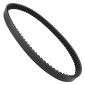 COURROIE MAXISCOOTER ADAPTABLE SUZUKI 125 BURGMAN UH 2007>2021 (830 x 22,1 x 9,5 x 28°) -BANDO S01-004- 8435485201178
