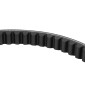 BELT FOR MAXISCOOTER SYM 125 JOYRIDE 2006> (782 x 17,9 x 8,5 x 28°) -BANDO S17-002- 8435485200676