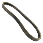 BELT FOR MAXISCOOTER KYMCO 300 XCITING 2008> (OEM 123195) (1001 x 24 x 11) -MITSUBOSHI- 3700948293188