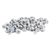 DISC BRAKE SCREW FOR E-SCOOTER Ø4,6 mm Black (sold per 50) -SELECTION P2R- 7427251900881