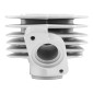 CYLINDRE SCOOT ADAPTABLE PEUGEOT 50 TKR, TREKKER, SPEEDFIGHT AIR, VIVACITY, BUXY, SQUAB, ZENITH, ELYSEO -ALU NIKASIL AIRSAL- 8434829001535