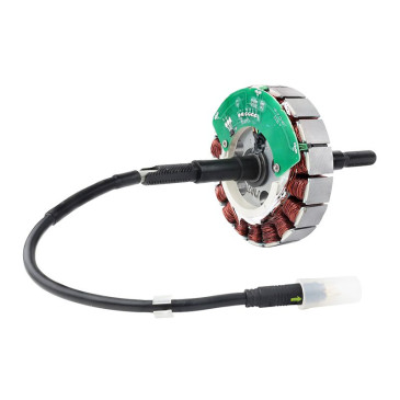 STATOR POUR MOTEUR ROUE ARRIERE BAFANG 36V/250W ARGENT ENTRAXE 130mm COMPATIBLE POUR 26"/28' COMPATIBLE LEADER FOX ET AUTRES 1209000300036