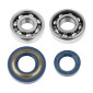 BEARING FOR CRANKSHAFT+SEALS FOR SCOOT (20x32x7) TOP PERF FOR PIAGGIO 50 VESPA PK (KIT 6204+6303) 3700948162026