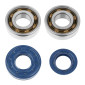 BEARING FOR CRANKSHAFT+SEALS FOR SCOOT TOP PERF FOR MBK 50 BOOSTER, NITRO/YAMAHA 50 BWS, AEROX/APRILIA 50 SR/CPI 50 ARAGON/GENERIC 50 IDEO/KEEWAY 50 FOCUS (KIT 6204 SKF) 3700948160848