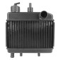 RADIATEUR CYCLO ADAPTABLE MBK 51, XR MAGNUM RACING -SELECTION P2R- 3701213440405