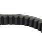 COURROIE MAXISCOOTER ADAPTABLE PEUGEOT 125 ELYSEO, ELYSTAR, JET FORCE (824 x 19 x 9,5 x 30°) -BANDO- 8430525045187