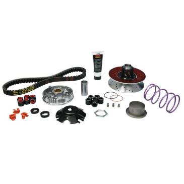 VARIATEUR SCOOT MALOSSI OVER RANGE ALUMINIUM POUR PIAGGIO 50 ZIP (TRANSMISSION COMPLETE OVER RANGE) (CARTER COURT) 3700948266601