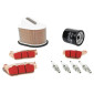KIT ENTRETIEN MOTO ADAPTABLE KAWASAKI 800 Z800 2013>2016, Z800 E 2013>2016 PLAQUETTE METAL FRITTE (PACK 9 PIECES) -SELECTION P2R PREMIUM- 3667385010757