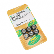 GALET/ROULEAU SCOOT TOP PERF 16X13 6,0g (x6) POUR PEUGEOT 50 KISBEE, TKR, TREKKER, SPEEDFIGHT, BUXY, VIVACITY/PIAGGIO 50 ZIP, TYPHOON, NRG 1994>1999/KYMCO 50 DINK, PEOPLE, TOP-BOY 3700948165003